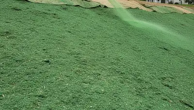 Professional hillside hydroseeding for erosion control and soil stabilization in Green Bay, WI