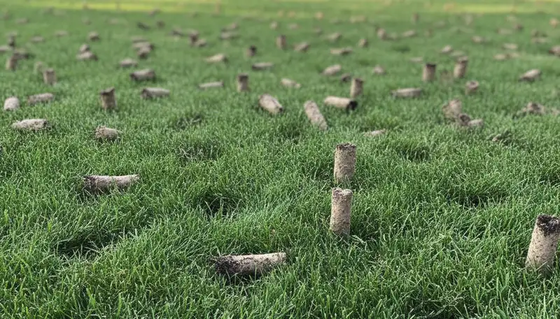 Close-up of lawn aeration soil core plugs on treated grass by Chop Chop Landscaping in Green Bay, WI